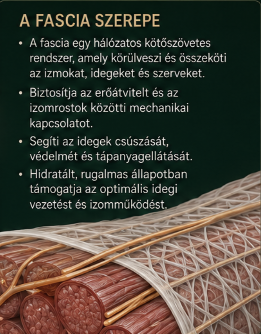 Mi az a trigger pont és miért fáj annyira?